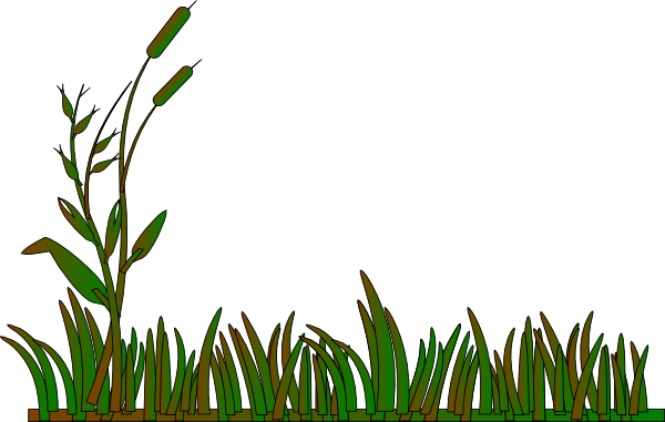 Cattails Outline Green/brown Clip Art At Clipart Library - Jungle Grass Clipart (600x381)