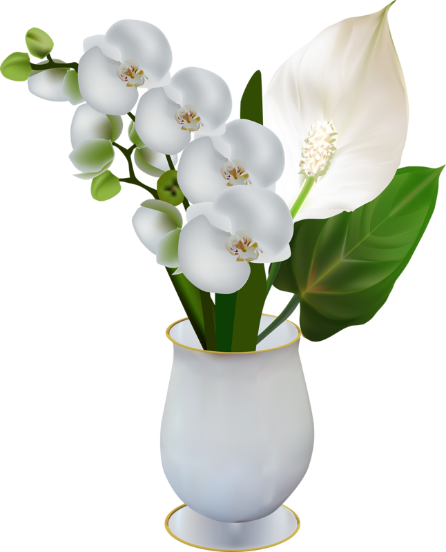 Publicat De Eu Ciresica La - White Orchid Flowers Clipart (646x800)