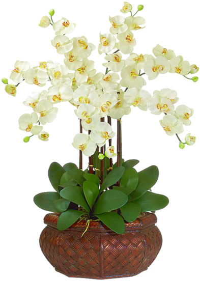 Flowers - Orchid Flower Artificial Arrangements (600x578)