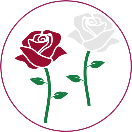 Red And White Rose - Colegio De San Juan De Letran (500x500)