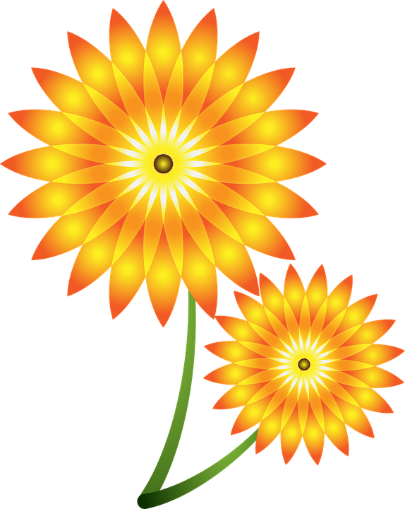Sun Flower Clipart 21, - Spring Of Tampa Bay (574x720)