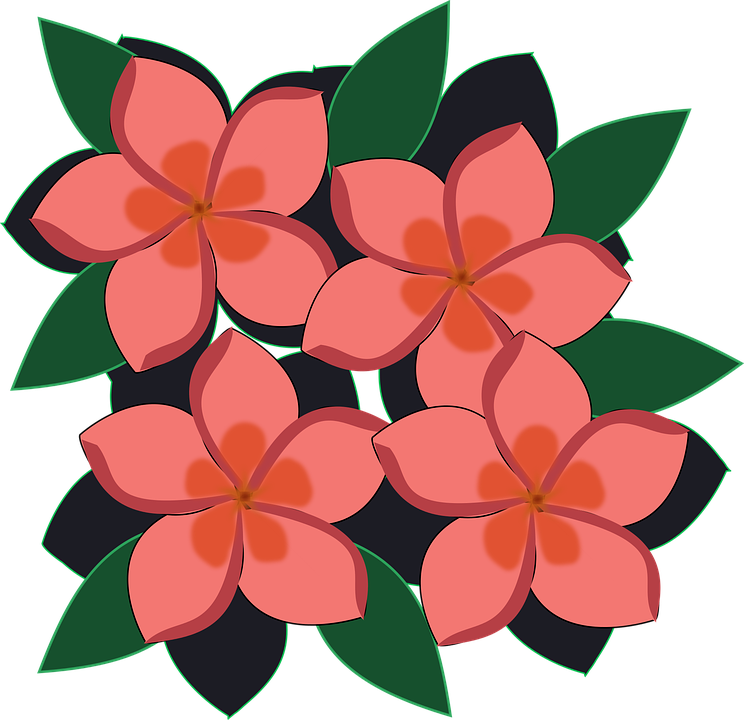 Orange Flower Clipart Bunga - Flores Clipart (744x720)