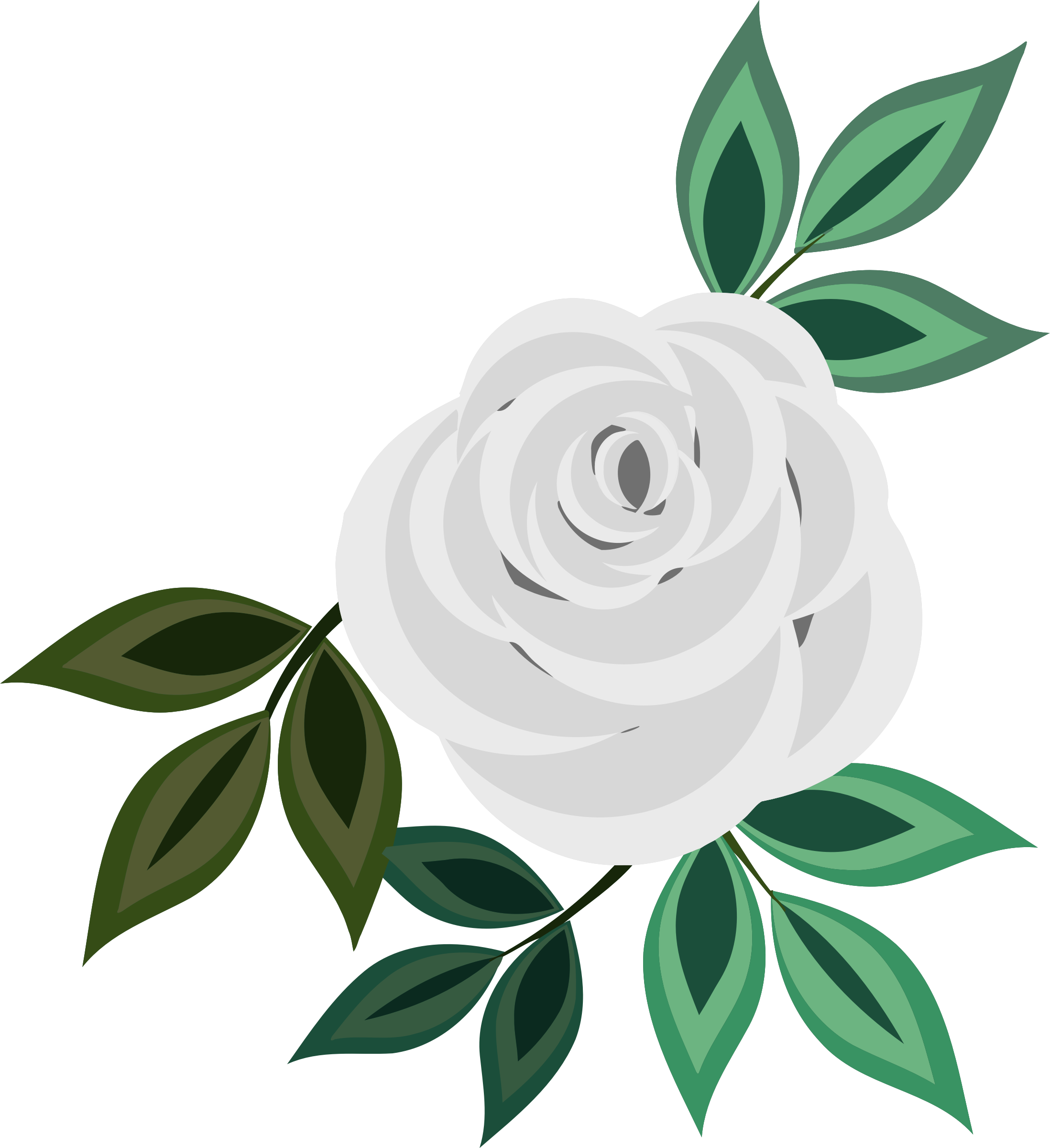 Rose 20 - Pink Rose Rose Clipart (2196x2400)
