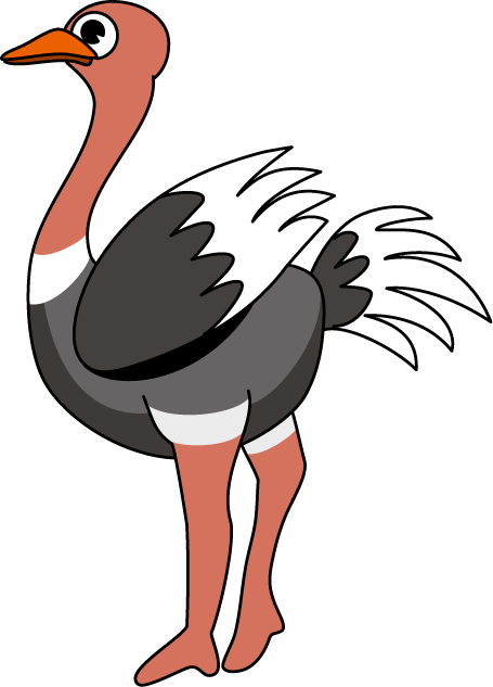 Top 92 Ostrich Clipart - Ostrich Images Clip Art (455x633)