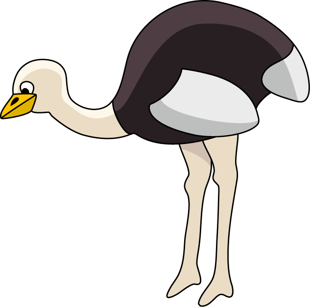 Ostrich Clipart - Common Ostrich (633x627)
