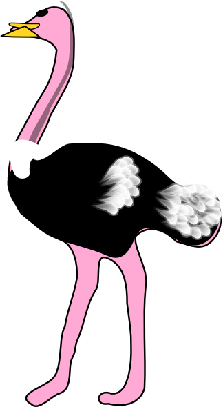 Ostrich Clip Art At Clker - Clip Art Picture Of Ostrich (324x590)