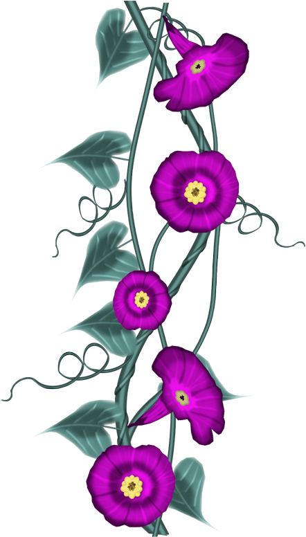 Flower Cliparttubsstampsclip - Portable Network Graphics (800x800)