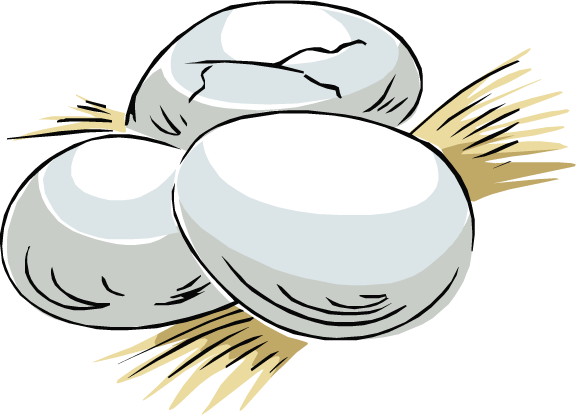 Dinosaurs Facts Science Trek Idaho Public Television - Clip Art (576x415)