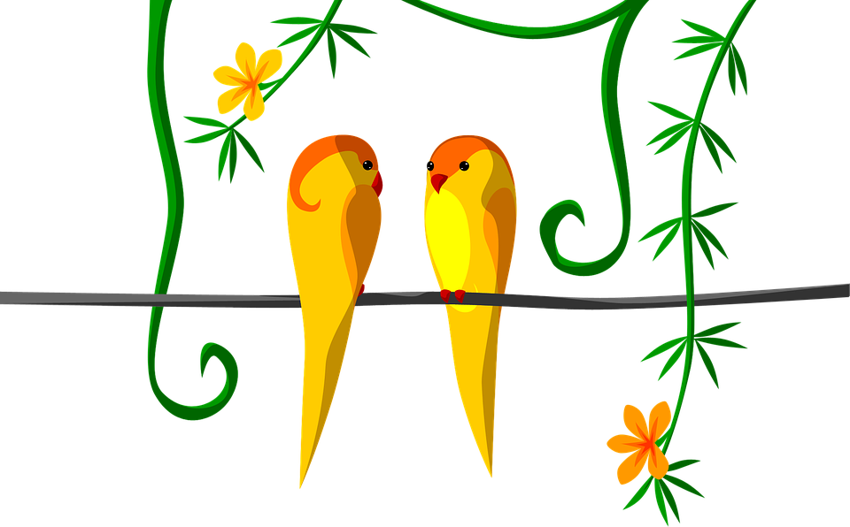 Love Bird Clipart 21, - Parrot (960x596)