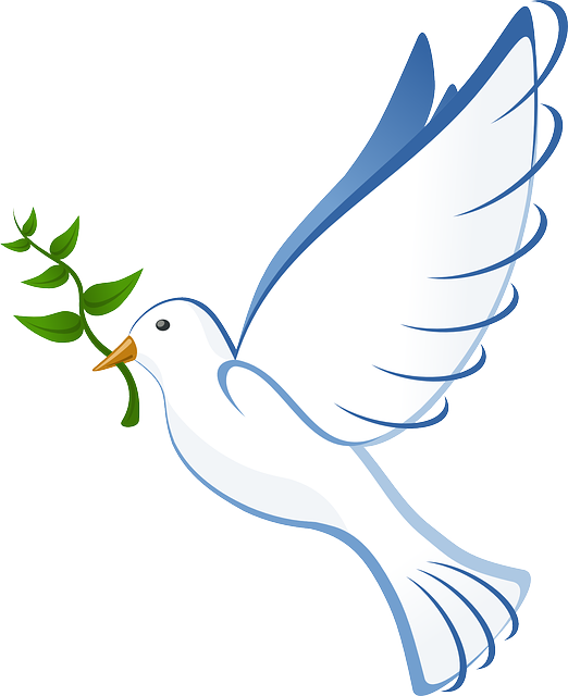 Dove, Flying, Peace, Olive, Branch, Symbol, Pigeon - Batak Christian Protestant Church (522x640)