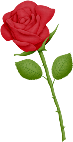 Cutepictures Альбом «скрап Наборы / Сказочные A L / - Single Rose Flower Clipart (313x500)