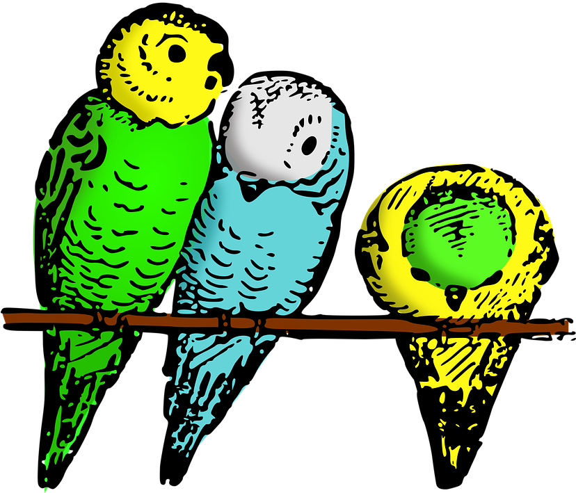 Big Bird Clipart 29, - Bilder Zum Malen Wellensittich Zu 4 (2400x2084)