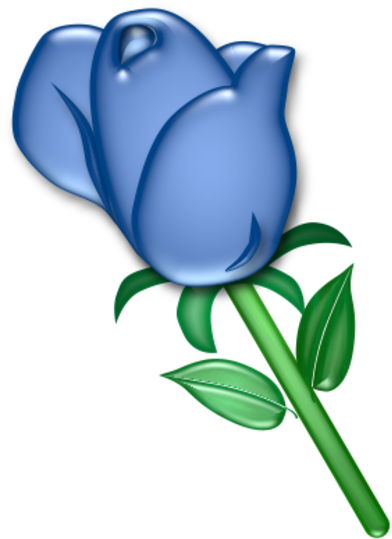 Blue Rose - Blue Rose Clip Art (576x600)