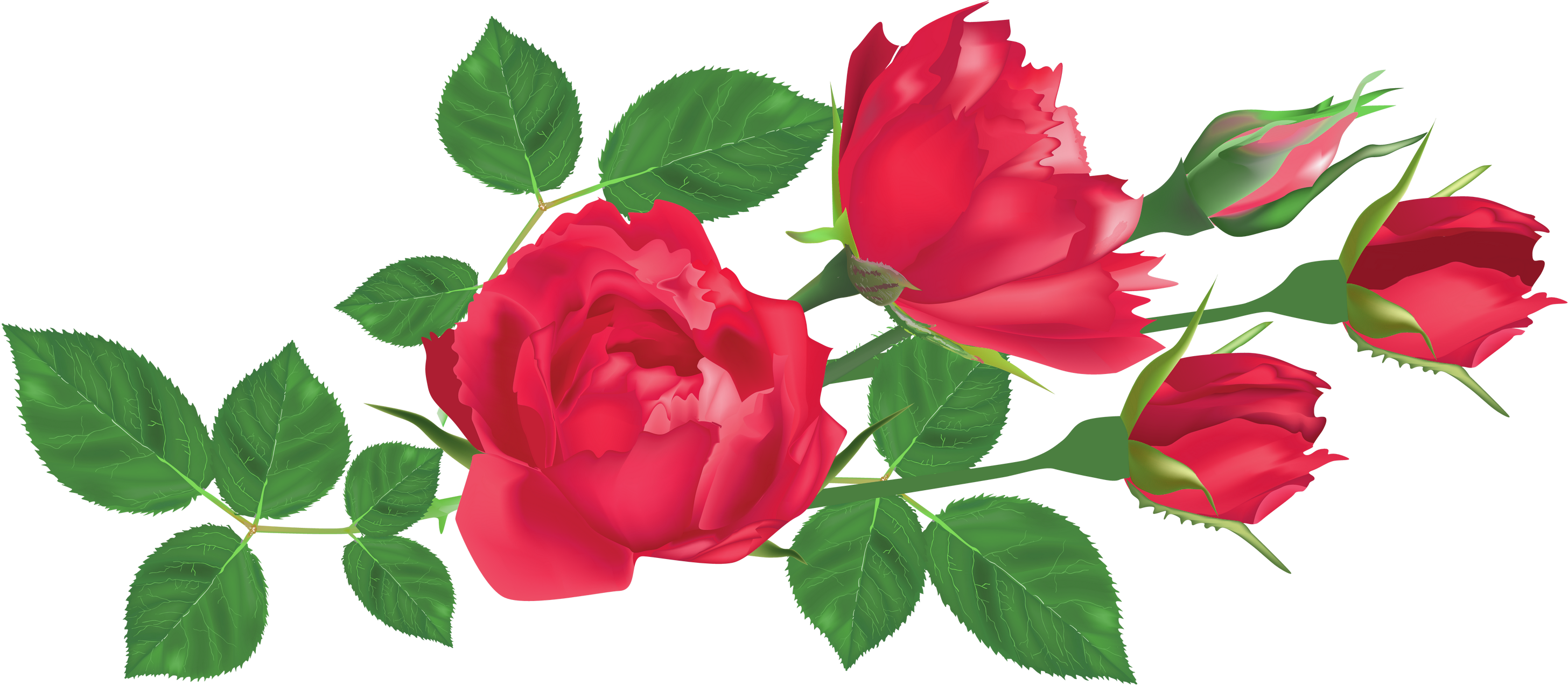 Rose Royalty-free Clip Art - Rose Leaves Clip Art (3000x1317)