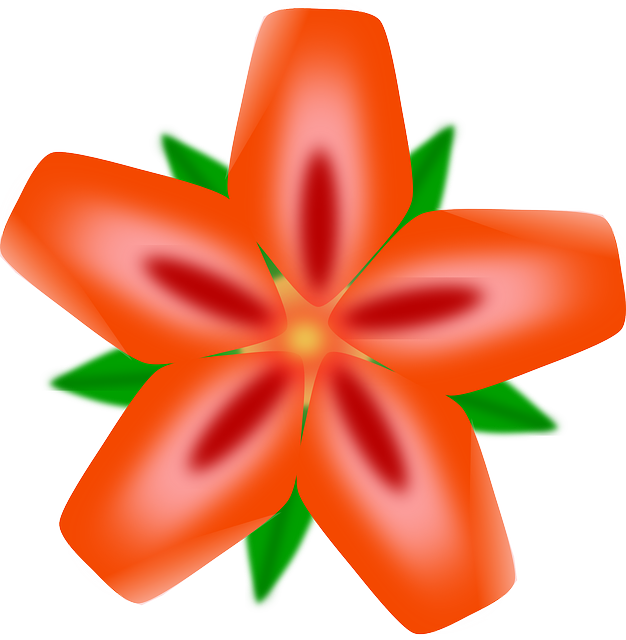 Spring Red, Flower, Flowers, Cartoon, Orange, Border, - Hawaiian Flowers Clip Art (626x640)