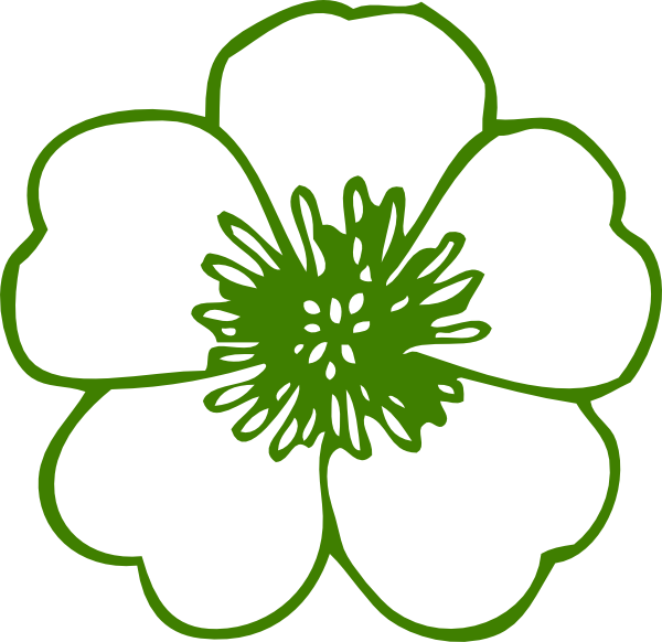 Green Buttercup Flower - Flower Clip Art Free (600x582)