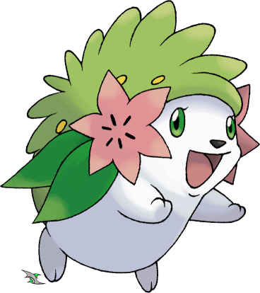 Mew Se Había Pasado Con La Creación De Un Tipo De Pokemon - Shaymin Land Form (368x414)