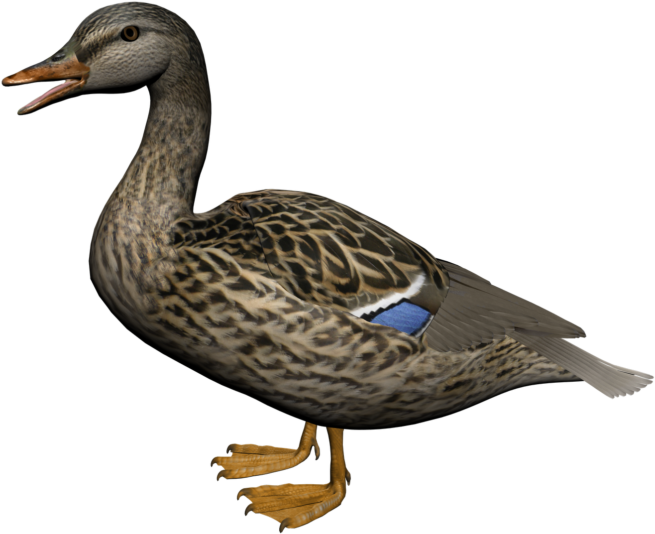 Duck Clipart High Resolution - Png Duck (1600x1131)