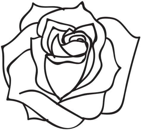 Blooming Rose Stroke Icon Flower - Roses Black And White Png (512x512)