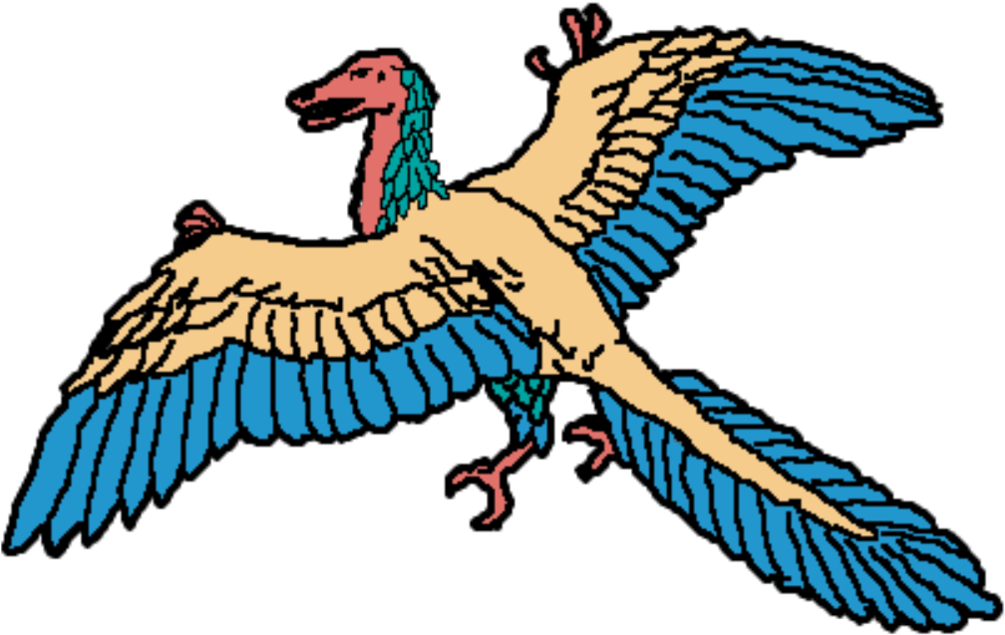 Download Image - Buzzard (1024x680)