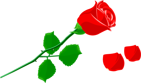Petal Rose Flower Clip Art - Rosa Com Petalas Caindo (512x512)