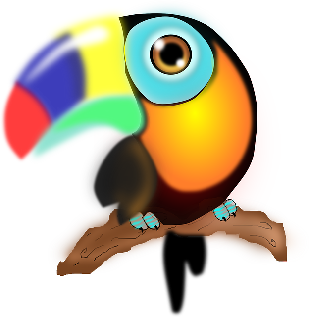Bird, Parrot, Colorful, Beak - Tucan Caricatura Png (624x640)