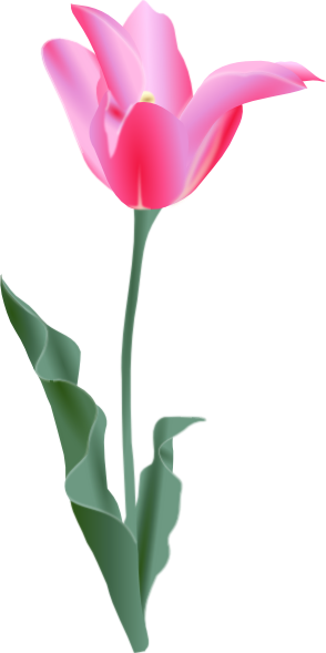 Tulip Clip Art At Clker - Tulip Clip Art (294x589)