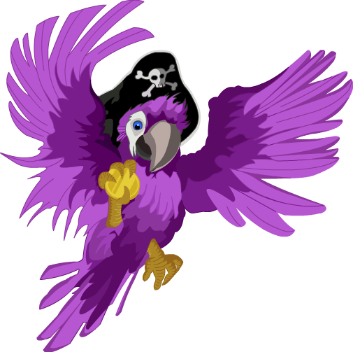 Pirate Parrot Clipart Transparent Background (505x503)