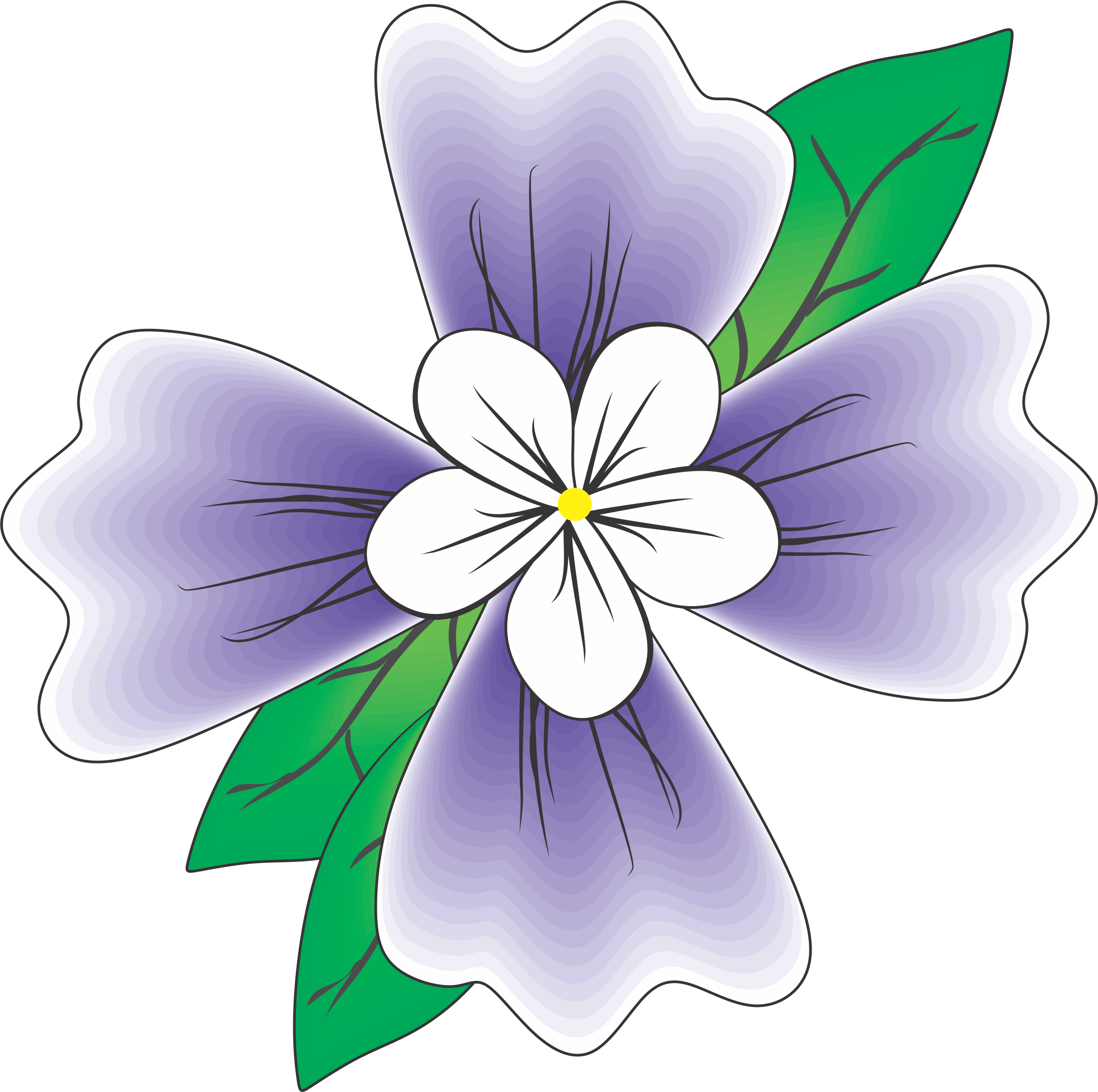 Flor Rocha Com Branco E Folha Verde Para Adesivo De - Adhesive (2401x2387)