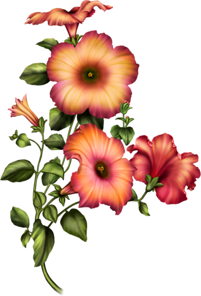 Card Designsclip Artporcelainbeautiful Flowersbotanyart - Orange Und Rote Petunien Visitenkarte (397x585)