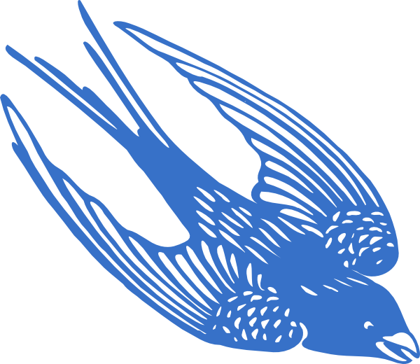 Cartoon Blue Jay Images - Blue Bird Vector (600x520)
