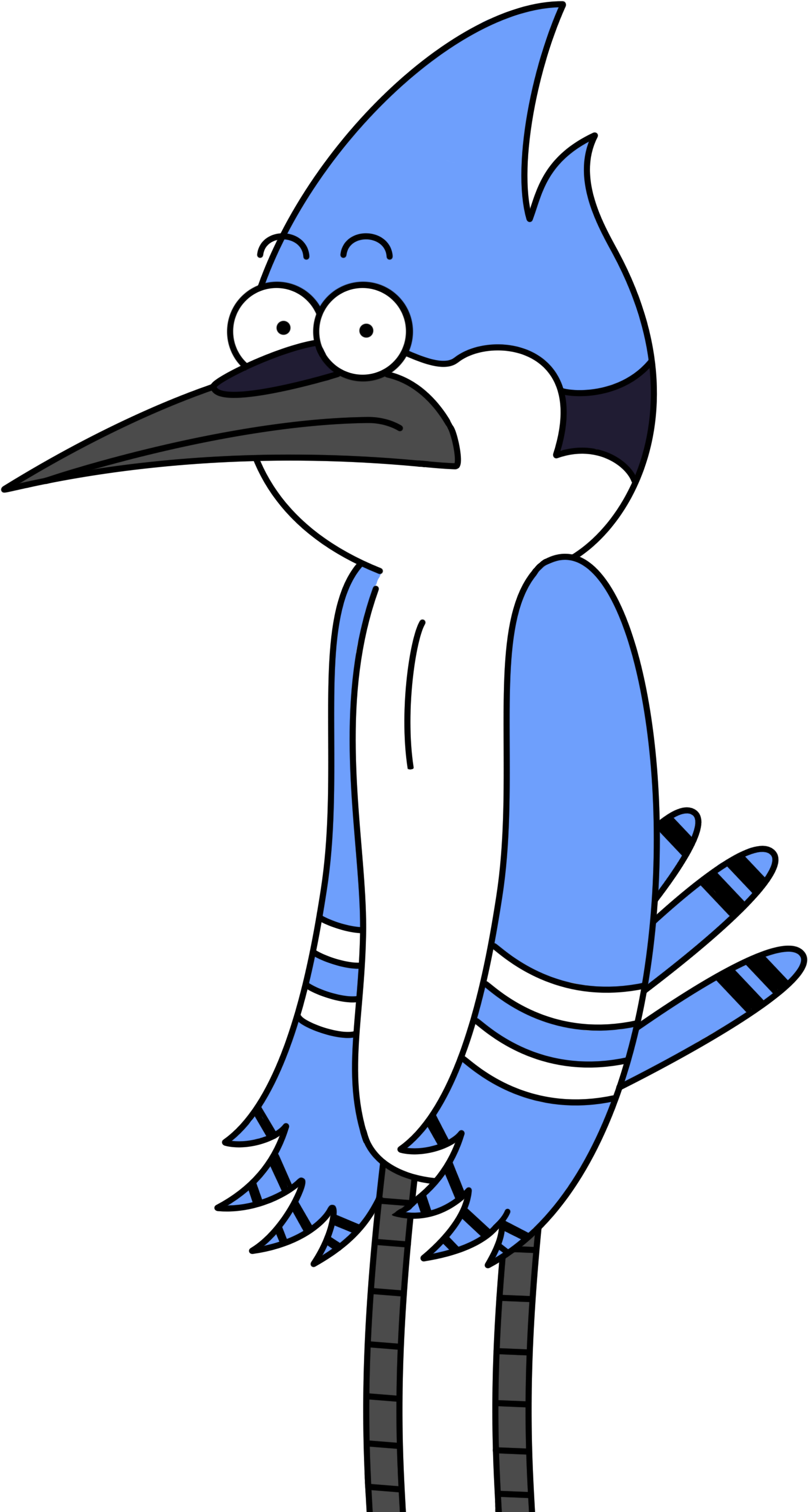 Mordecai - Mordecai Bird (2448x3264)