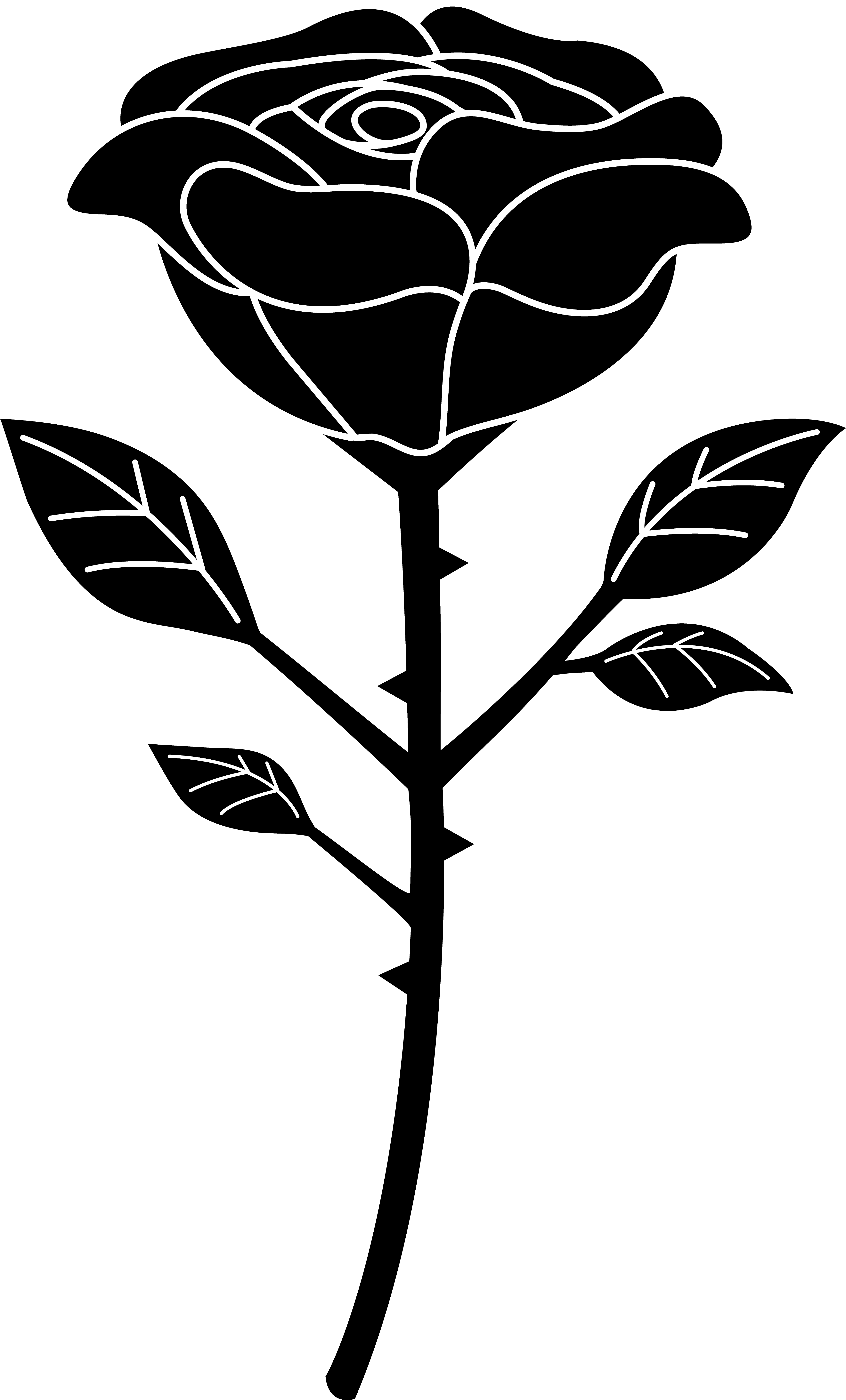 Black Rose Clip Art - Rose Clipart (4334x7175)