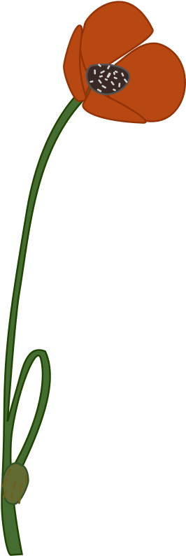 Get Notified Of Exclusive Freebies - Poppy Clipart (336x800)