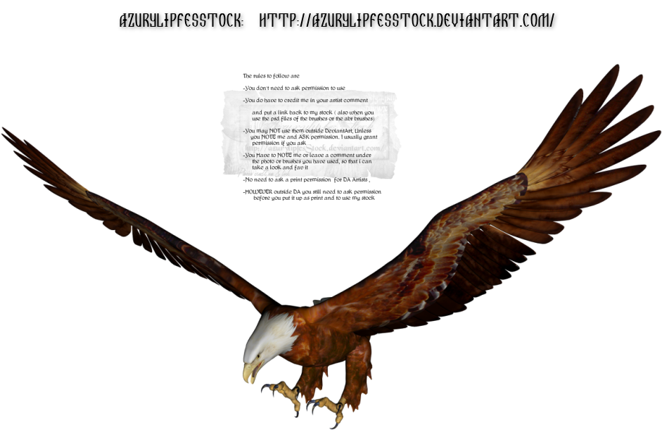 Amazon - Com Widgets - Golden Eagle (1000x700)