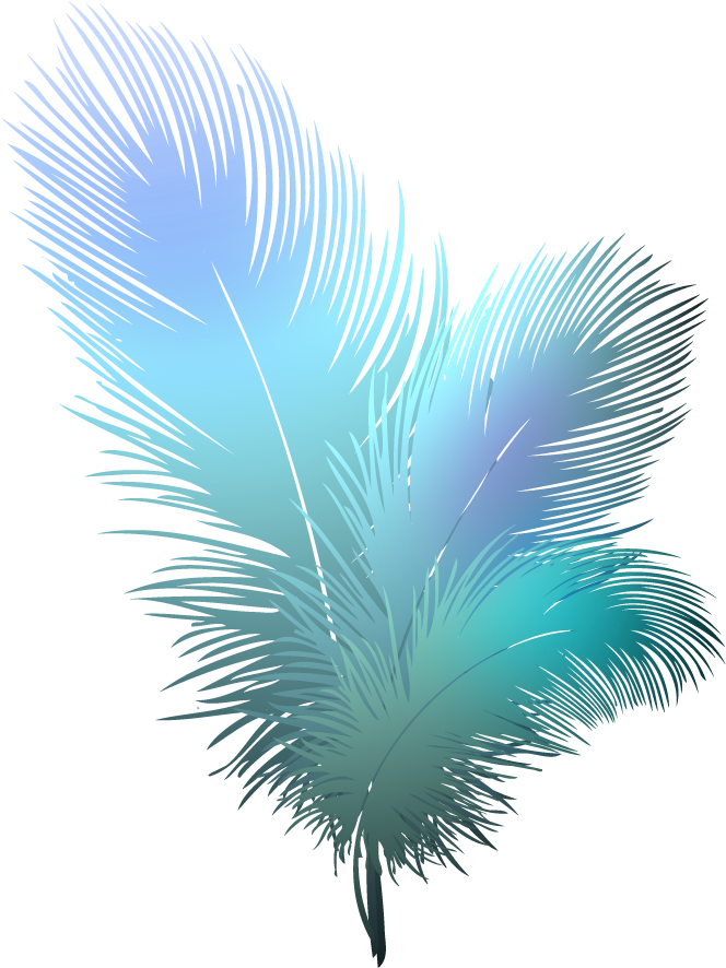 Bird, Feather Transparent - Feather Clipart Transparent Background (916x898)