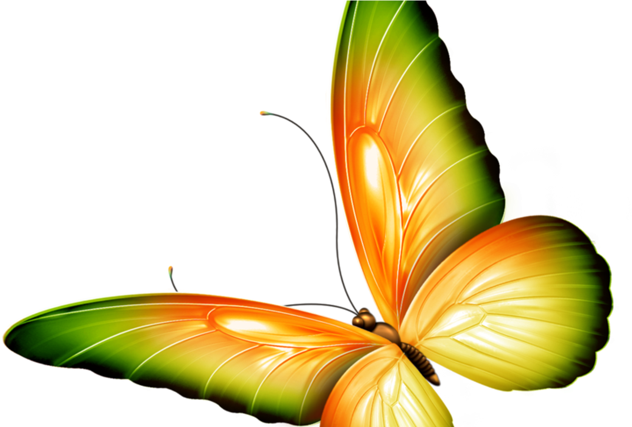 Clipart By Zwyklaania - Butterfly Transparent Green, Find more high quality...