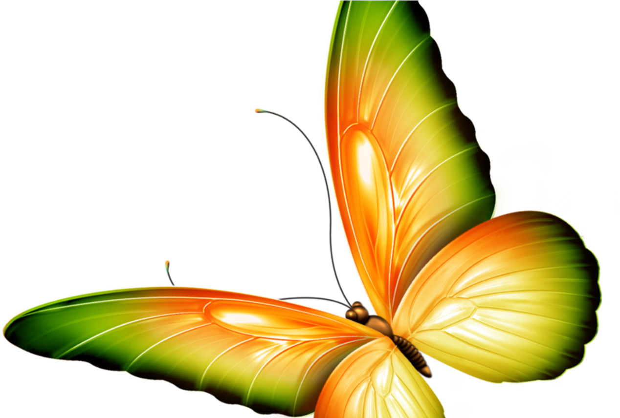 Yellow And Green Transparent Butterfly Clipart By Zwyklaania - Butterfly Transparent Green (1368x855)