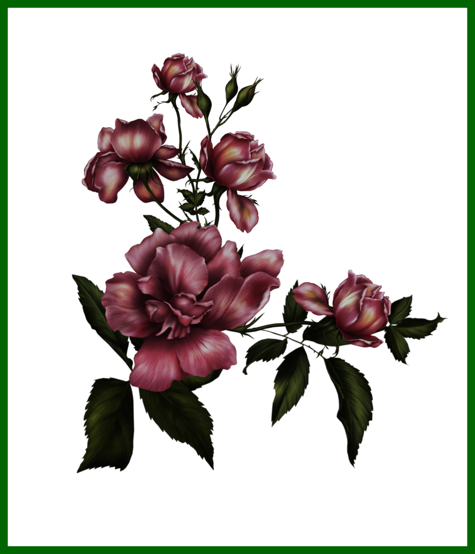 Awesome Rose Png Transparent Pngmart Pic Of Flower - Gothic Flower (930x1085)