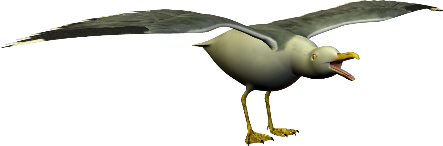 Sea Gull Seagull Clip Art At Mzayat - Gulls (1490x551)