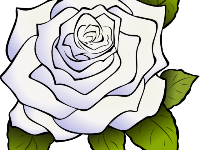 White Rose Clipart Animated - Draw A Big Rose (640x480)