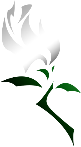 White Rose Tattoo By L Oneliness - White Rose Tattoo By L Oneliness (357x525)