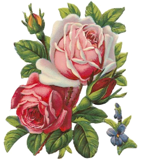 Rose Apron Vintage Clothing Clip Art - Rose Apron Vintage Clothing Clip Art (600x600)