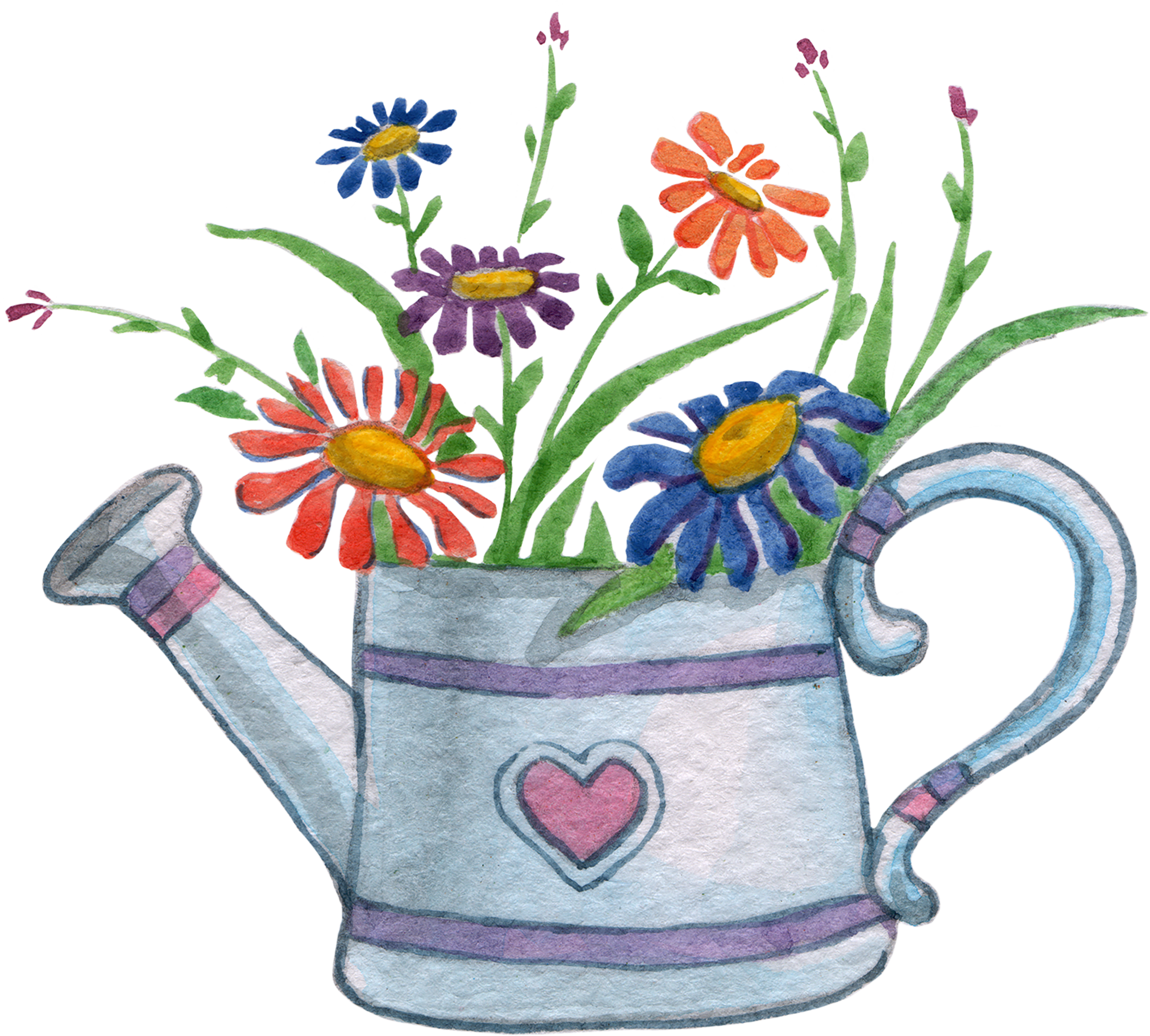 Watercolor Painting Photography Clip Art - Camomile (2405x2166)