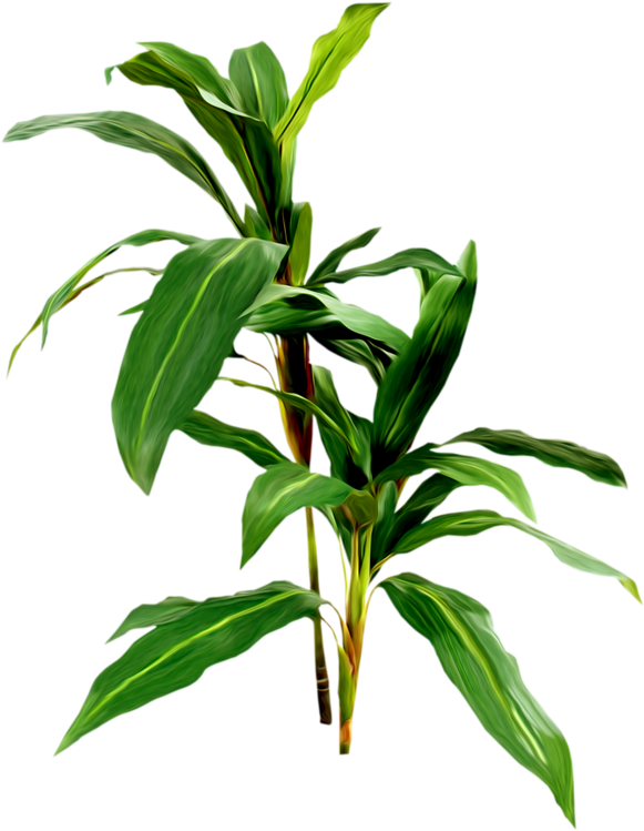 Flower Bouquet Floristry Clip Art - Flower Bouquet Floristry Clip Art (625x800)