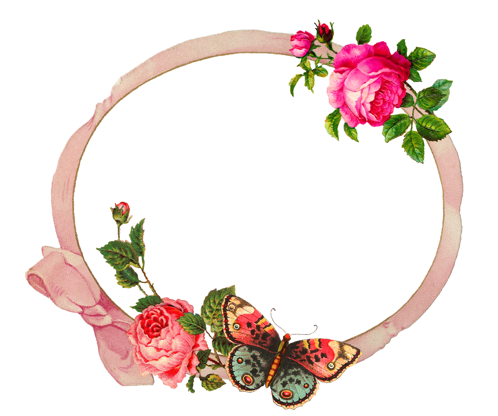Border Illustration And Decorated It With Roses - Garden Roses (1600x1335)
