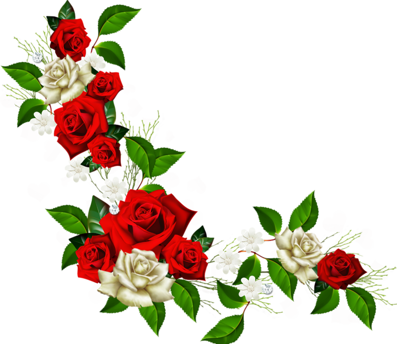 Album - Rose Border Clip Art (800x694)