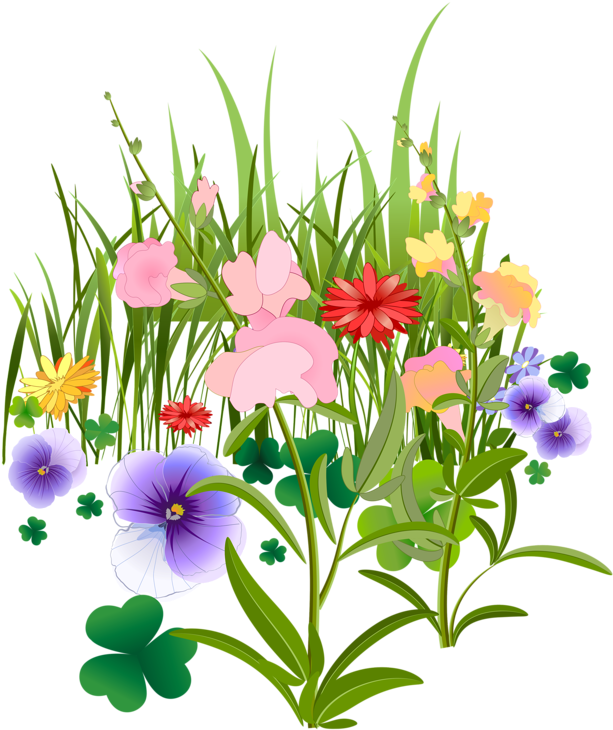 Explore Vintage Backgrounds, Flower Cards, And More - Flower (639x800)