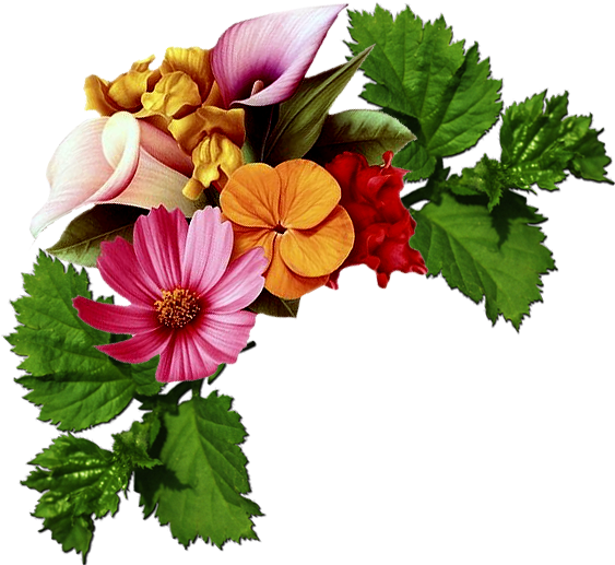 Laminas Para Decoupage 3 - Decoupage Floral Png (574x527)