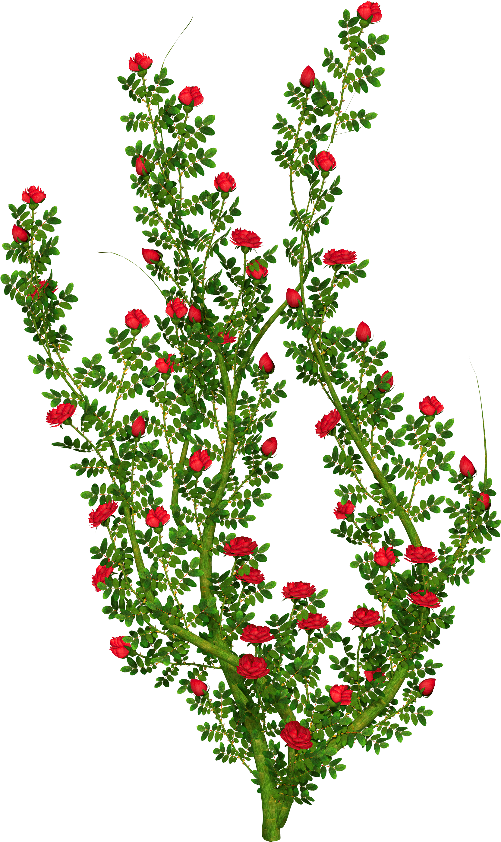 0, - Flower Bush Clip Art (1800x3000)